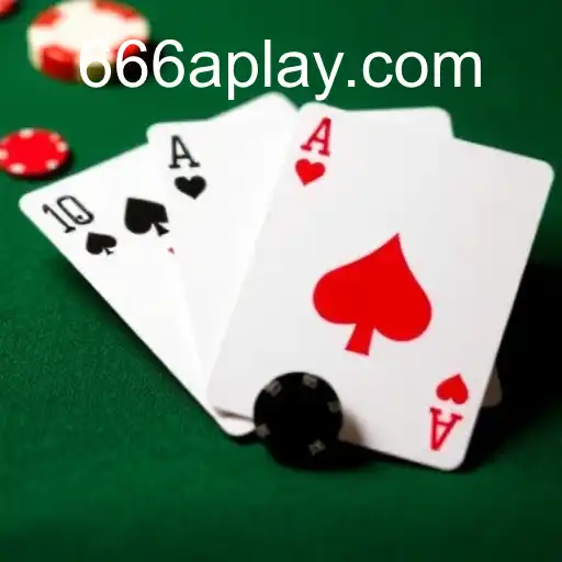 VIP Service 666A.com - 24/7 Support and Exclusive Benefits